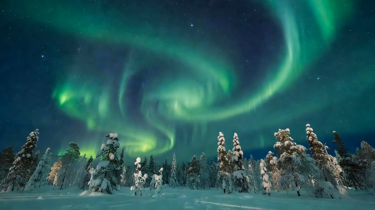Green aurora borealis glowing over a snowy Finnish pine forest at night